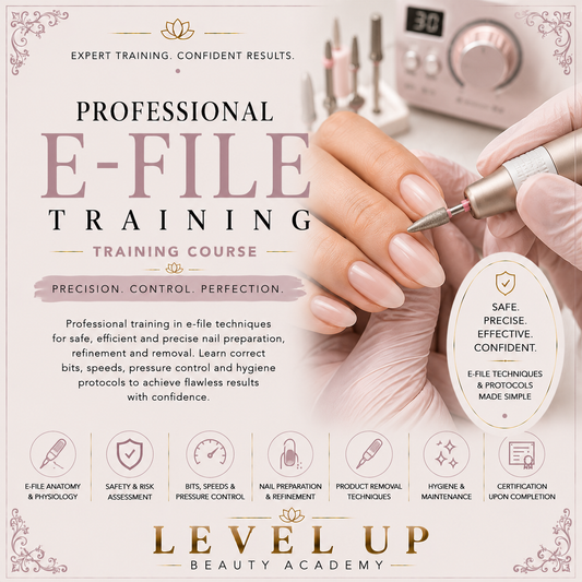 Online E-File Training Manual - Instant Download!