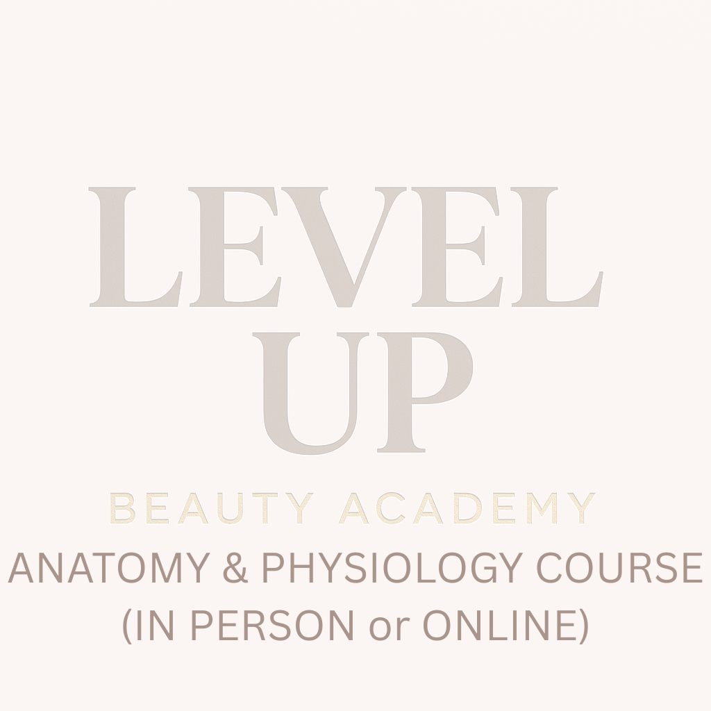 Online - Anatomy and Physiology - Instant Download!